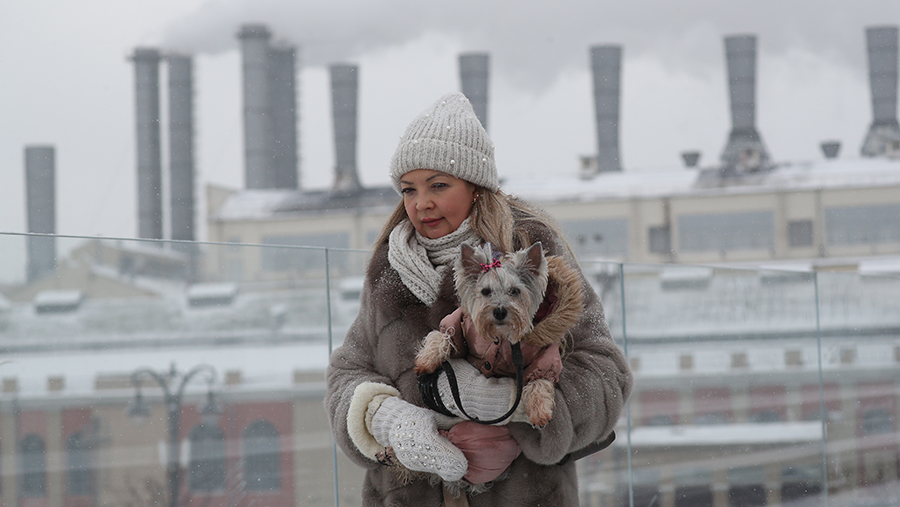 Кинолог рассказал о подготовке собаки к первому снегу