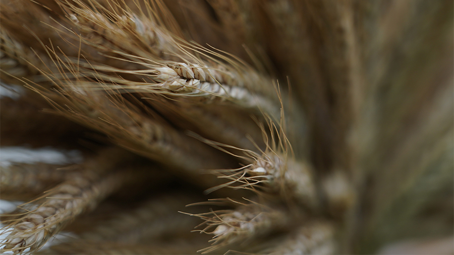 Посол РФ рассказал о востребованности российских рынков для молдавской продукции