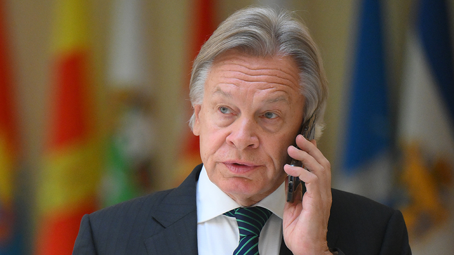 Пушков назвал бесполезными советы экс-президента Финляндии