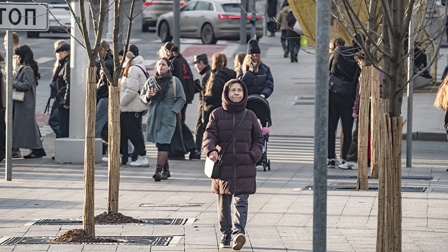 Синоптики спрогнозировали облачность и небольшой дождь в Москве 12 ноября