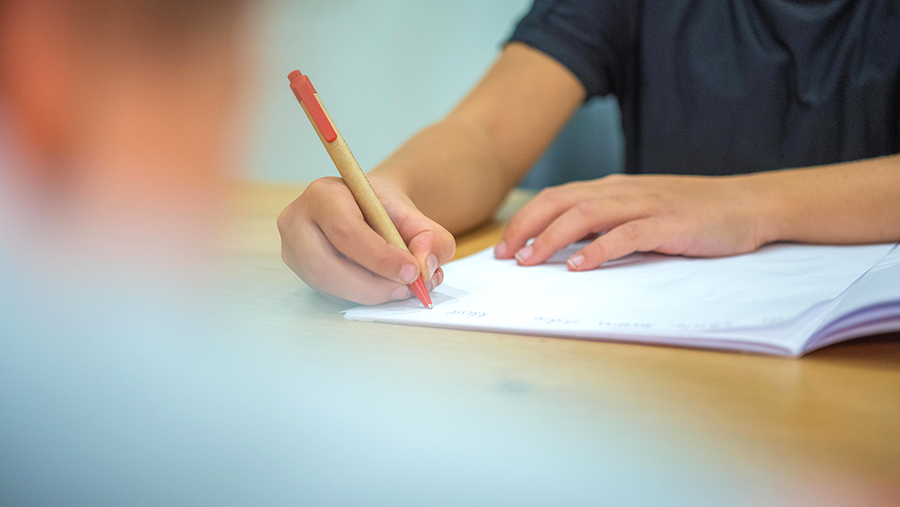 Психолог призвала написать письмо с благодарностью перед Новым годом