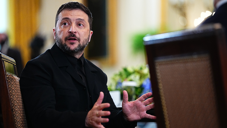 В США сообщили о попытках ЕС убедить Зеленского не выводить войска из Донбасса