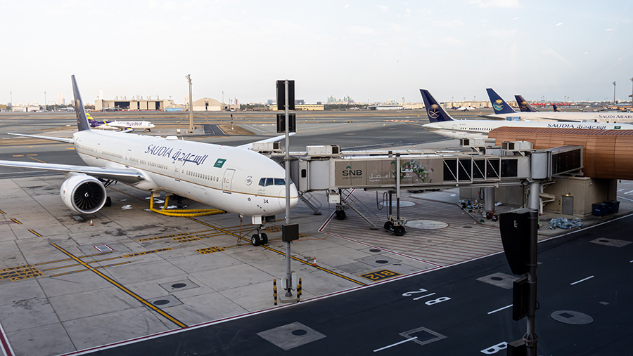 АТОР спрогнозировал рост турпотока из Саудовской Аравии после введения безвиза