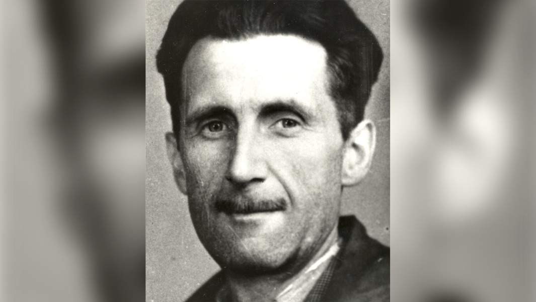 Что значит ковид 1984. Смотреть фото Что значит ковид 1984. Смотреть картинку Что значит ковид 1984. Картинка про Что значит ковид 1984. Фото Что значит ковид 1984