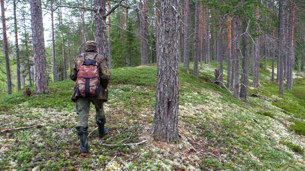 Человек уходит в лес тайгу