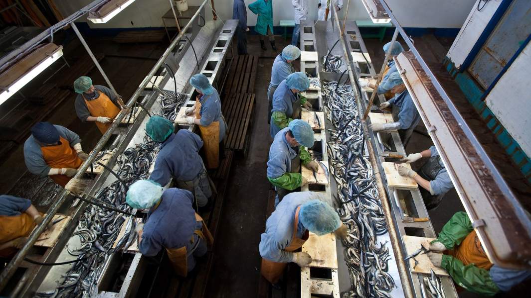 Завод "Рыбокомбинат Островной" на острове Шикотан