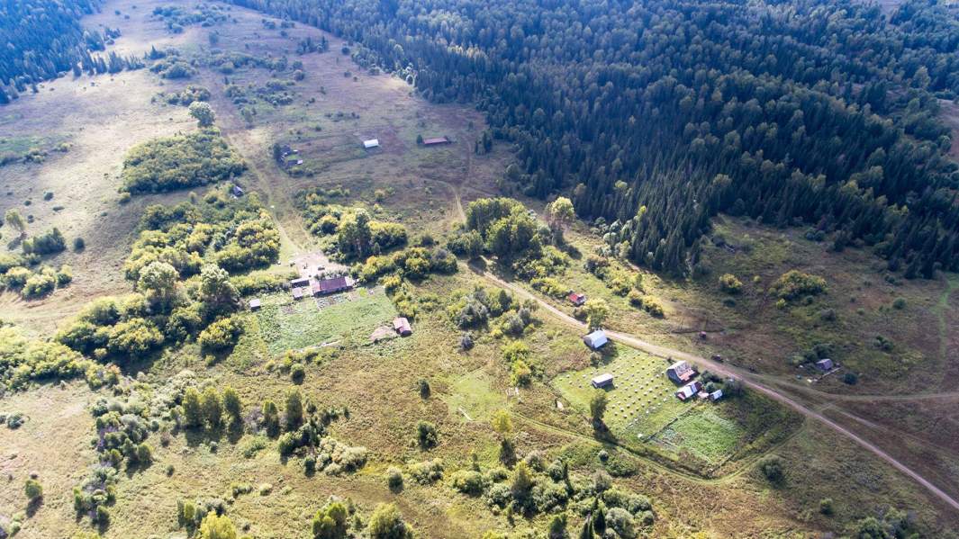 3 миллиона гектара. Кухмарь Переславль Залесский. Экотропа Кухмарь. Экологическая тропа Кухмарь. Урочище Кухмарь Переславль Залесский.