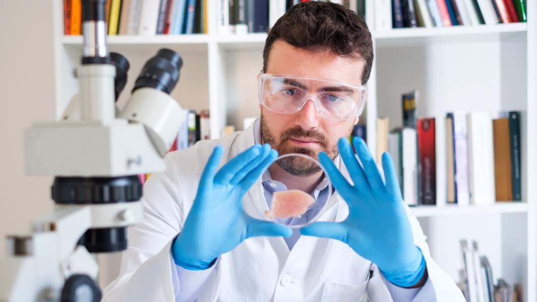 мясо лаборатория