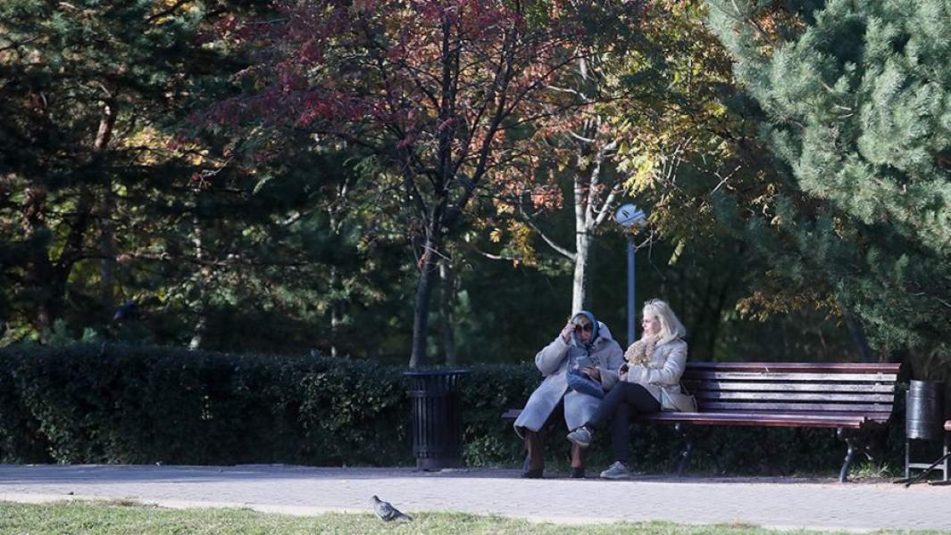 пенсионер скамейка