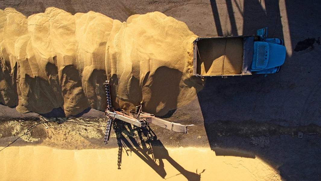 Зерновой ток 