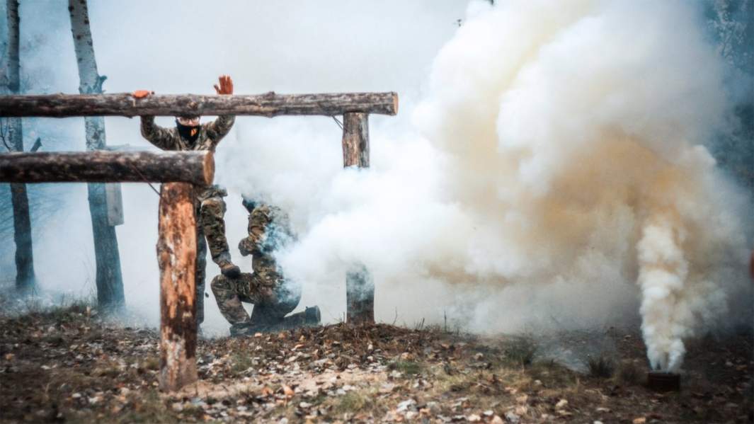 украинские ультранационалистические лагеря