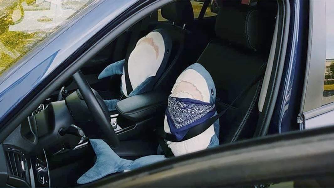 Плюшивые акуы сидят в автомобиле вместо водителя и пассажира