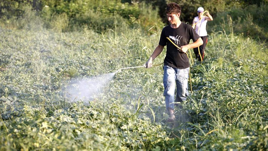 Фермер распыляет пестициды