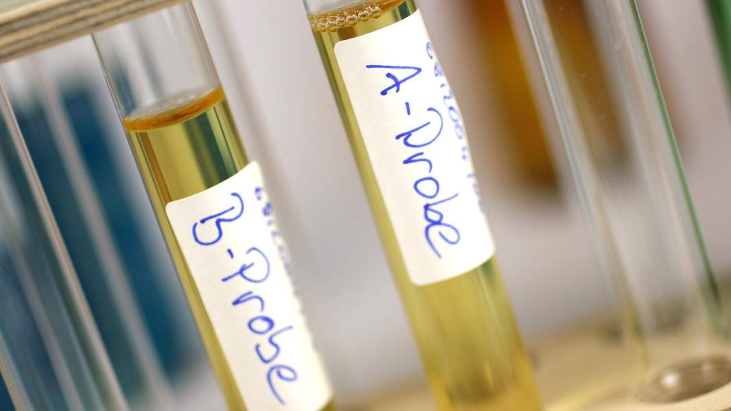 Допинг-пробы