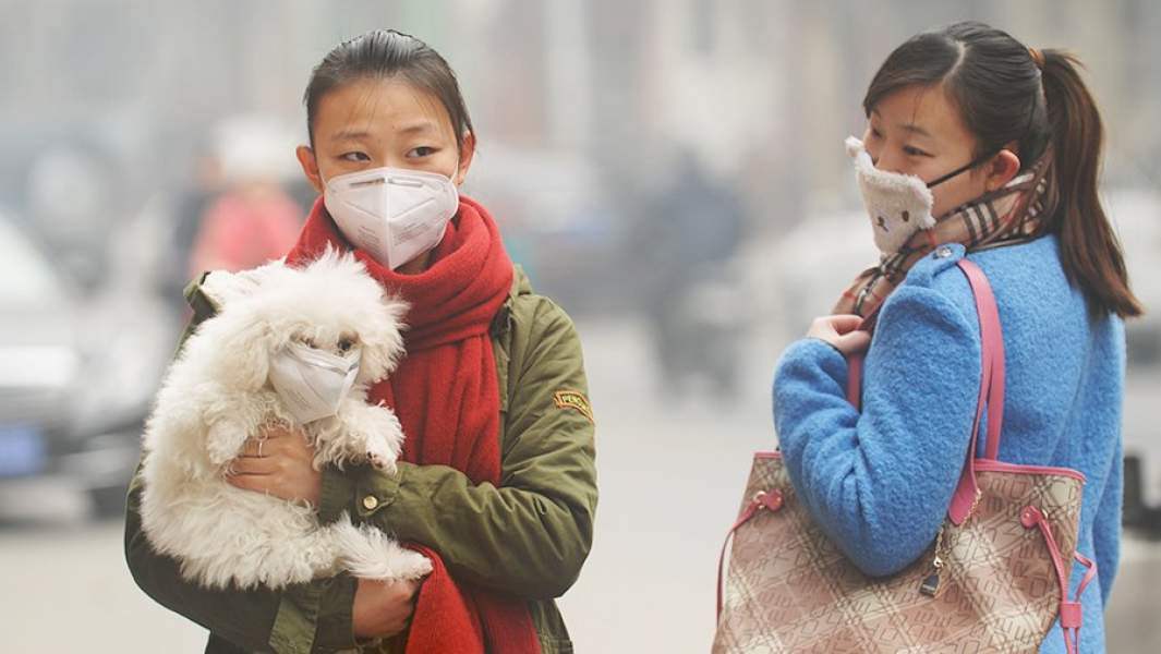 Девушки и собака в масках Китай