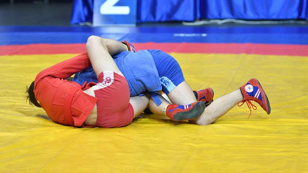 Бойцы самбо