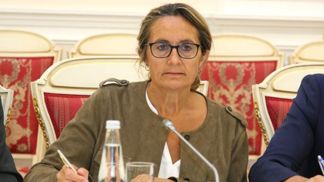 Глава комиссии сената по экономическим делам Софи Прима