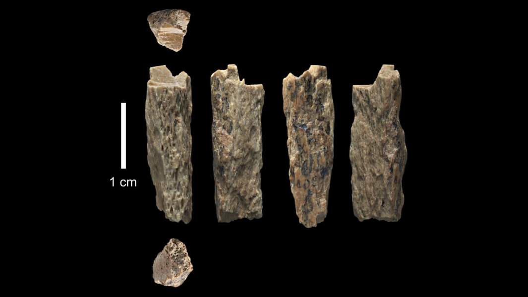 Маленький фрагмент человеческой кости был найден в Денисовой пещере среди 2000 разных костных остатков нашёлся обломок человеческой кости