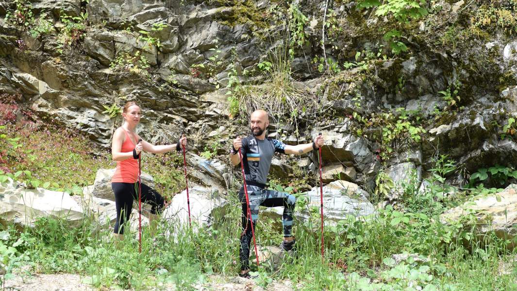 Скандинавская хотьба