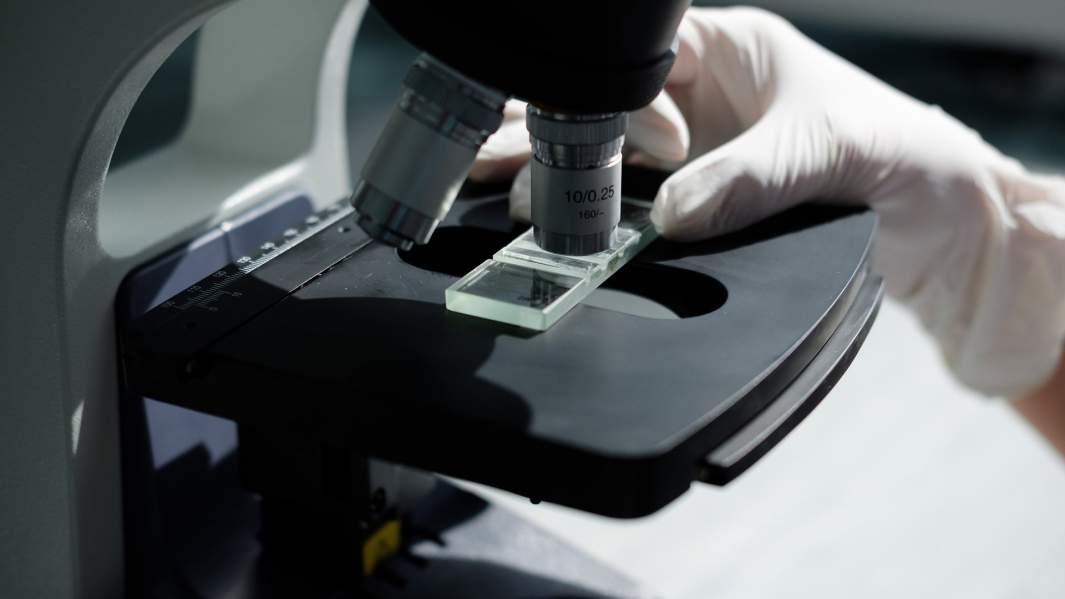 изучение образцов через микроскоп