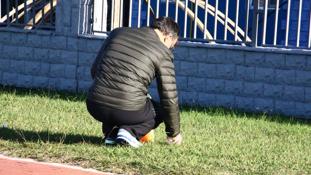 Батумский собаковод убирает следы жизнедеятельности за своим питомцем на набережной города