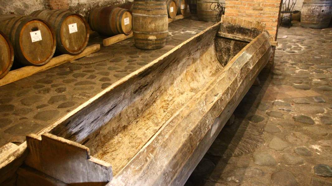 Сацнахели — выдолбленная в стволе дерева емкость, в которой мужчины ногами давят виноград.