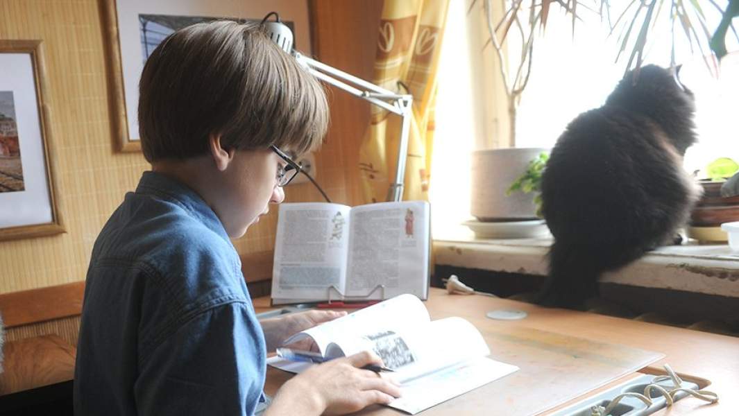 Домашнее обучение