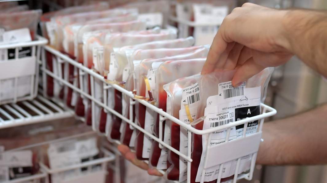 пакеты с донорской кровью в холодильнике