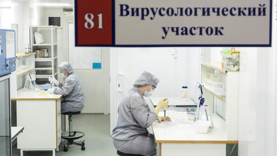 лаборатория вирусологический участок