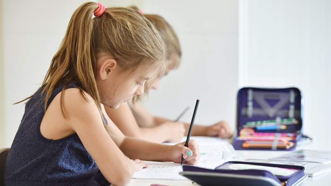 Домашнее обучение