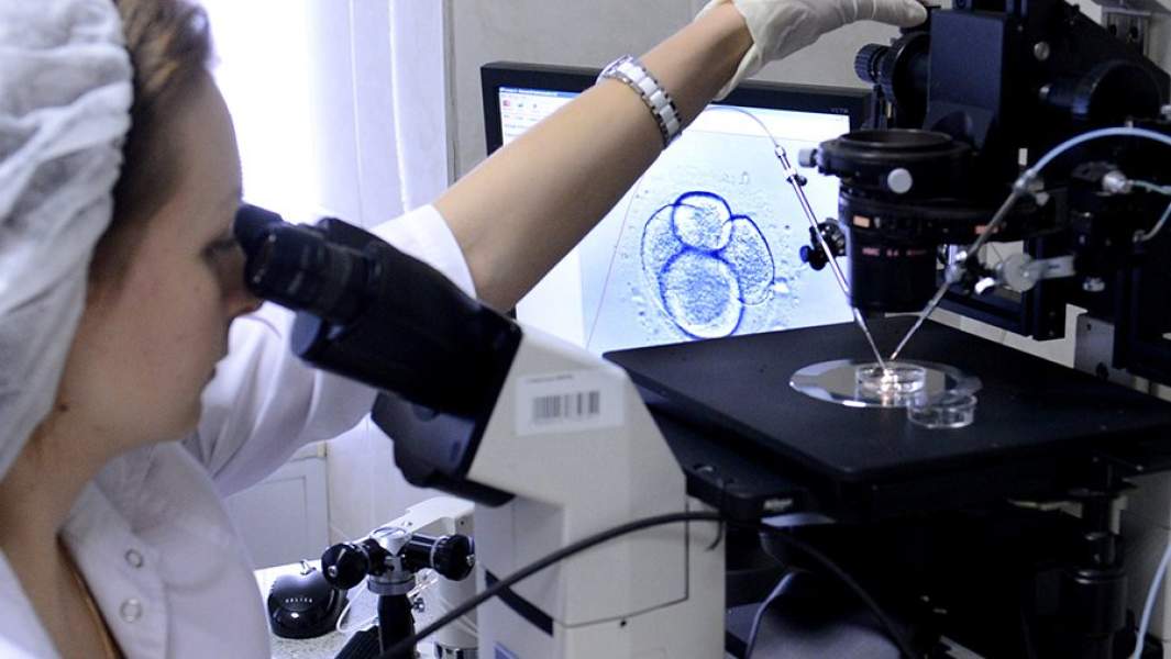 В лаборатории центра акушерства и гинекологии