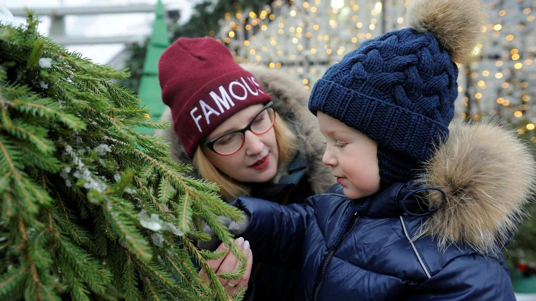 покупатели на елочном базаре