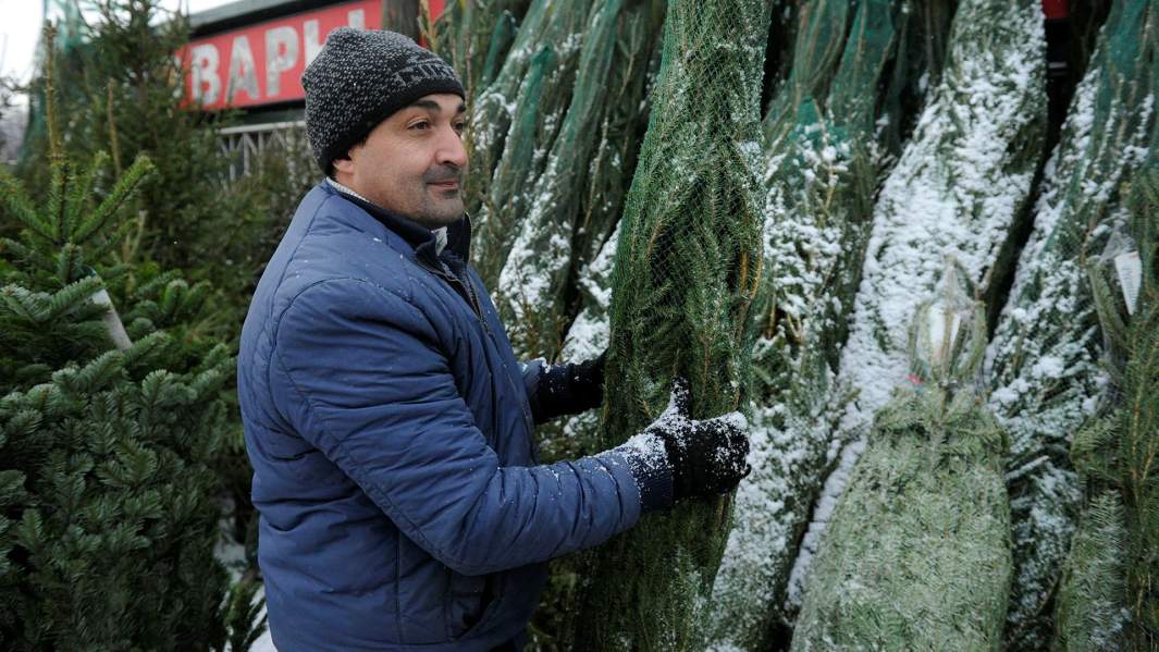 Продавец на одном из елочных базаров в Москве