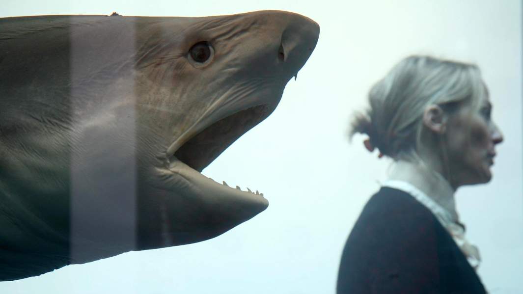 The Physical Impossibility of Death in the Mind of Someone Living