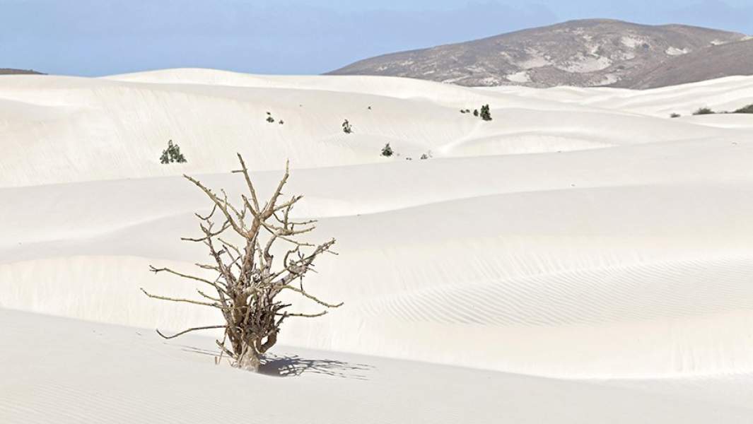 Пустыня Виана на острове Боа-Вишта