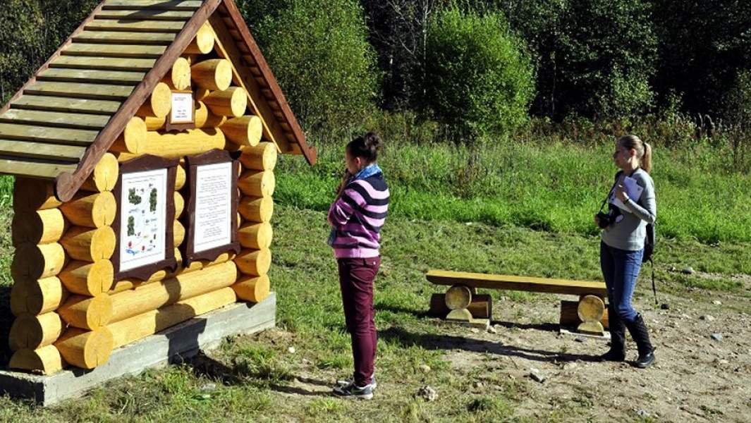 Устьянский район