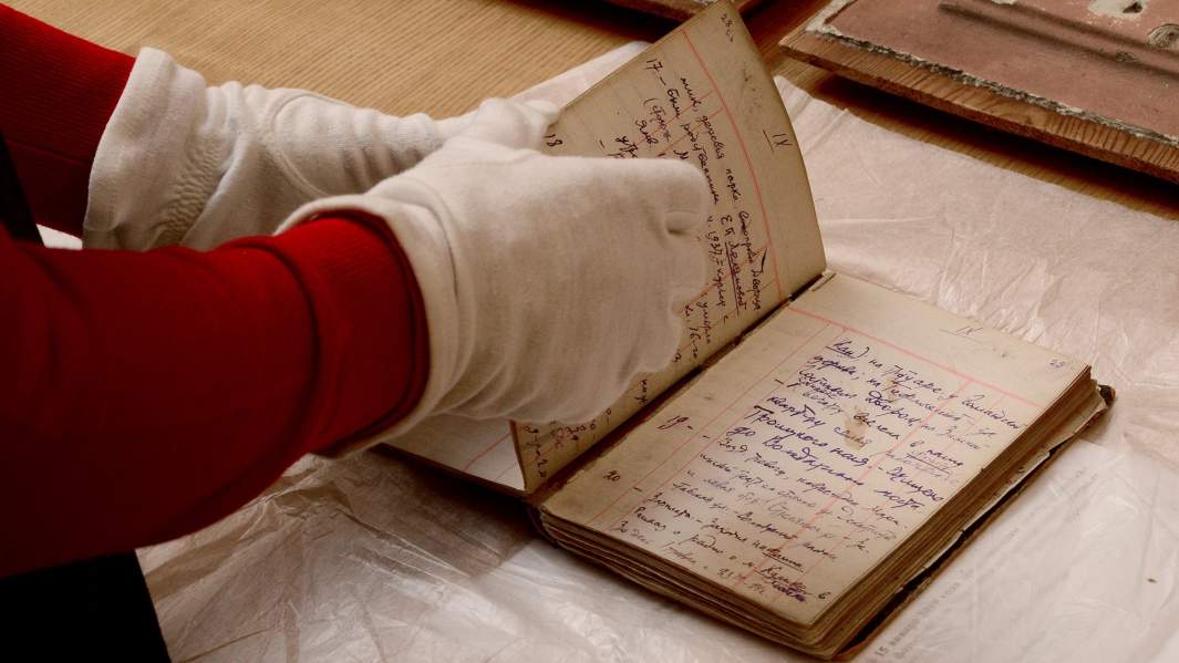 Первый дневник Алексея Алексеевича Черновского