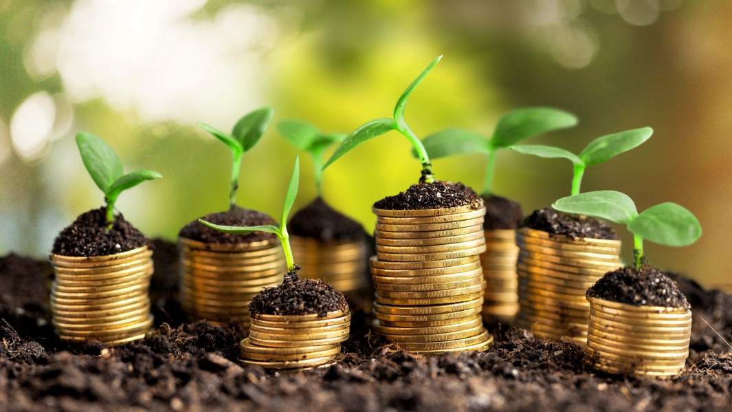 зеленые монеты