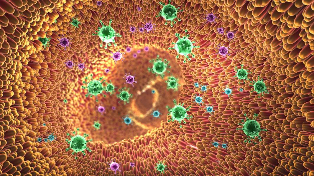 Печень, алкоголизм