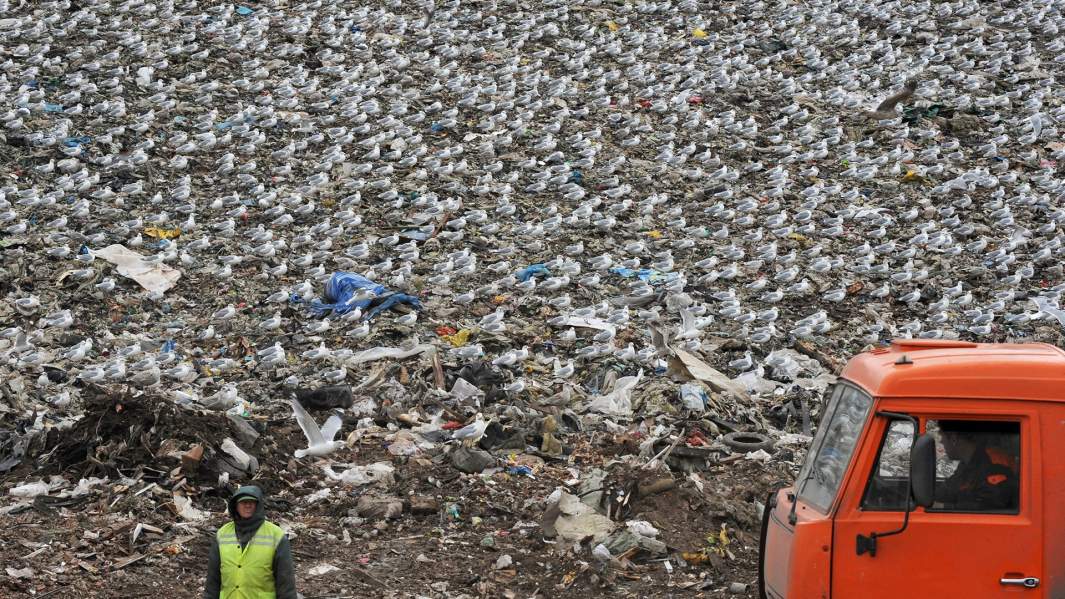 Свалка бытовых отходов