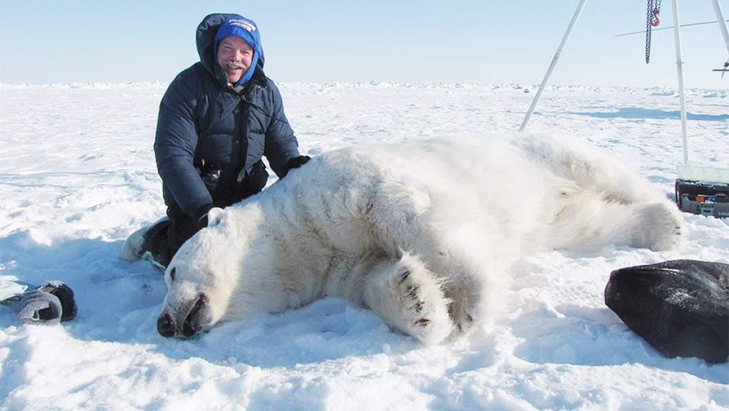 Ученый сидит около спящего медведя