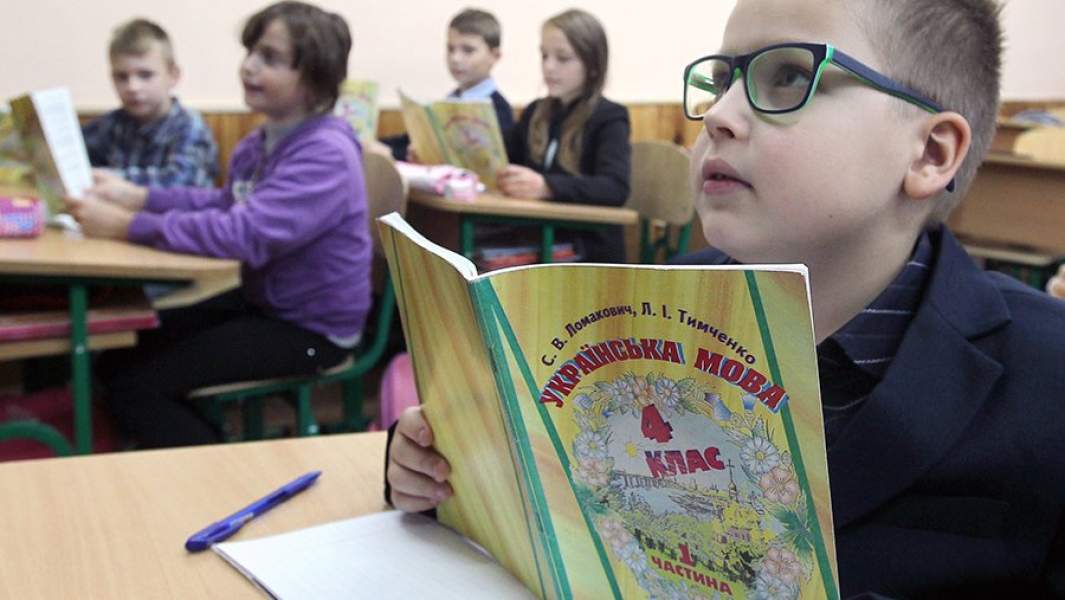 Ученик на уроке украинского языка в общеобразовательной школе № 4 города Вишневое, Киевская область