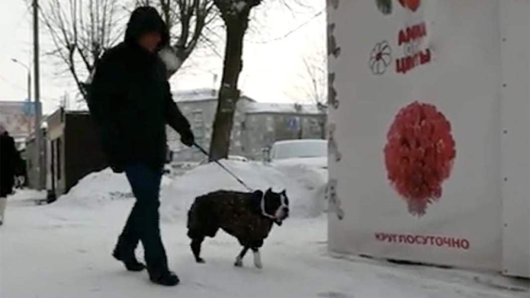 Человек с собакой