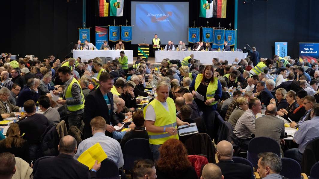  На конференции партии «Альтернатива для Германии «АдГ»