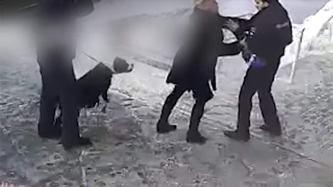 Полицейский и человек с собакой