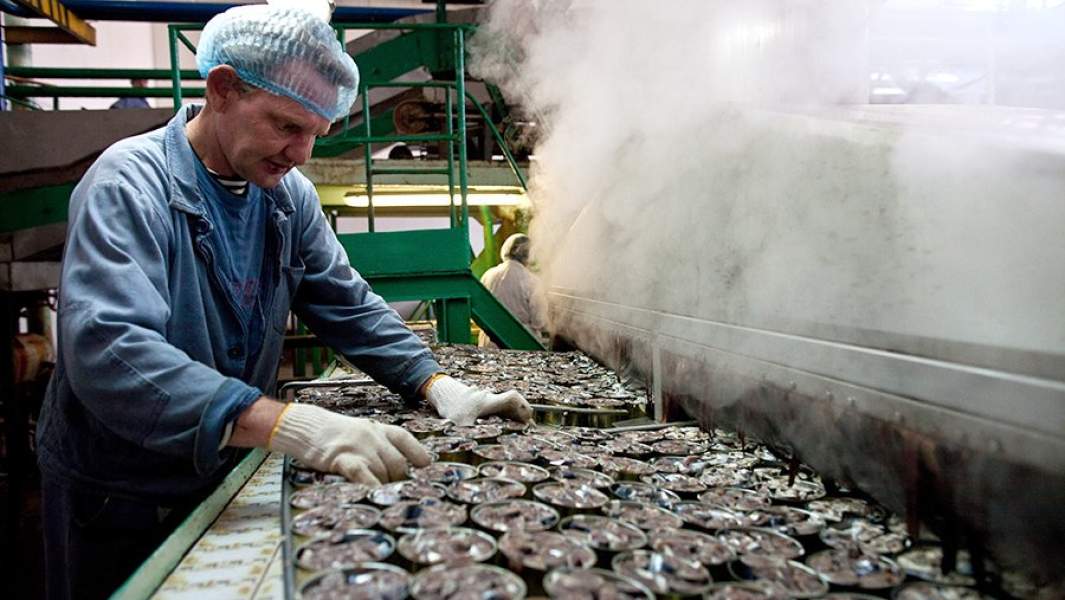 Подача банок с сайрой на бланширование в консервном цехе завода в селе Малокурильское на острове Шикотан