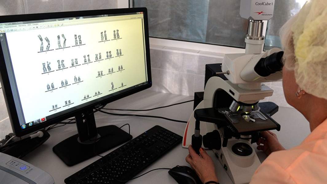 Медицинский работник в цитогенетической лаборатории перинатального центра