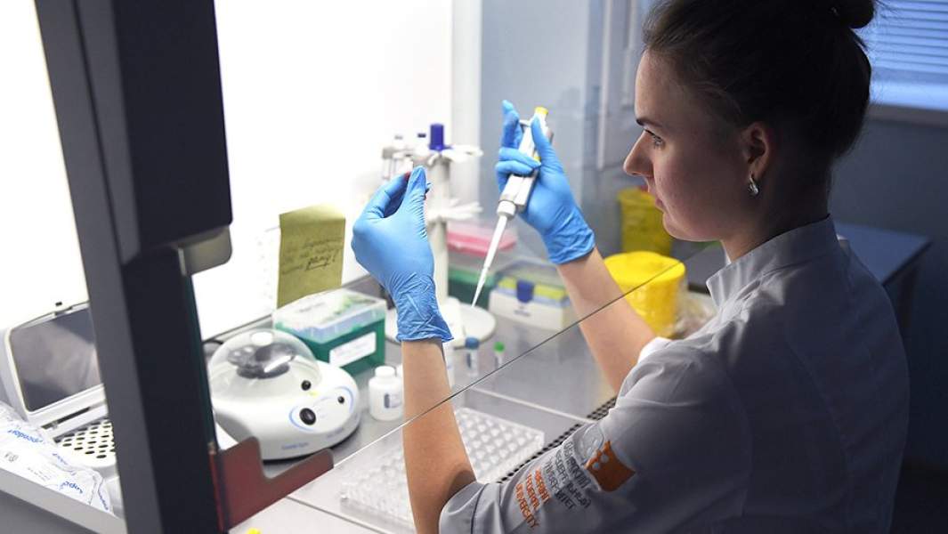 В лаборатории молекулярно-генетических методов исследований Сибирского федерального университета