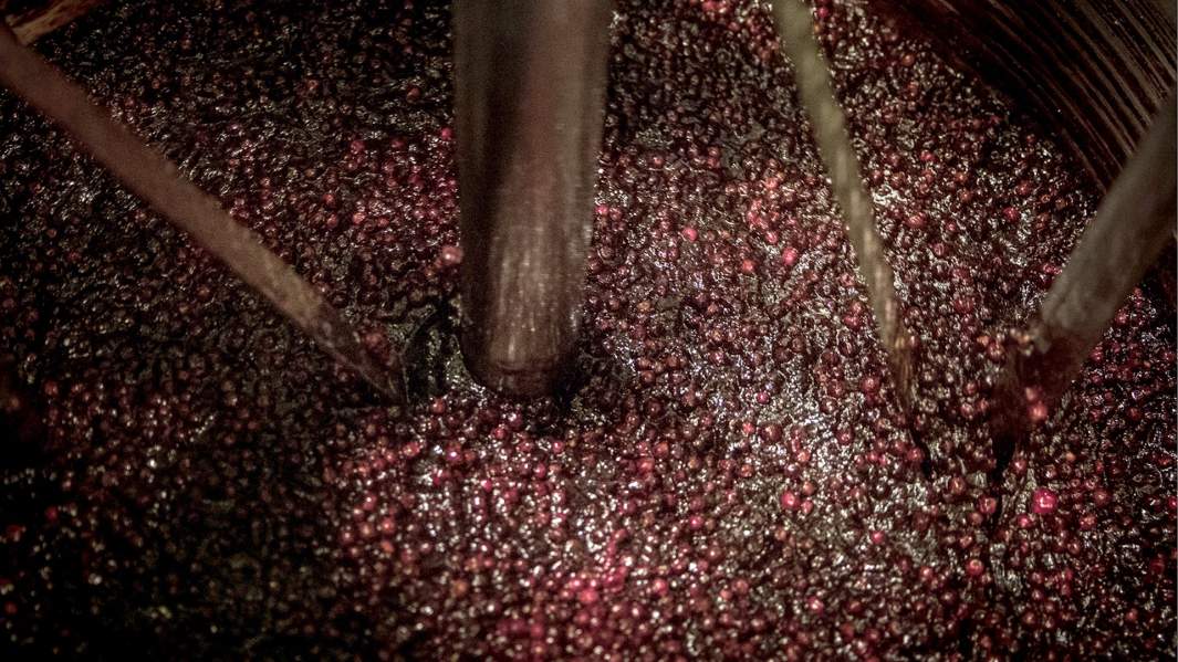 Во время изготовления косметических средств на заводе компании Natura Siberica