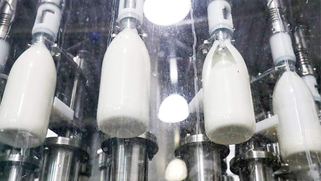 разлив молока в бутылки